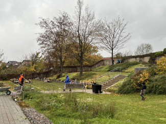 Friedhofsaktion 2025