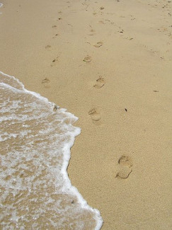 Spuren am Strand