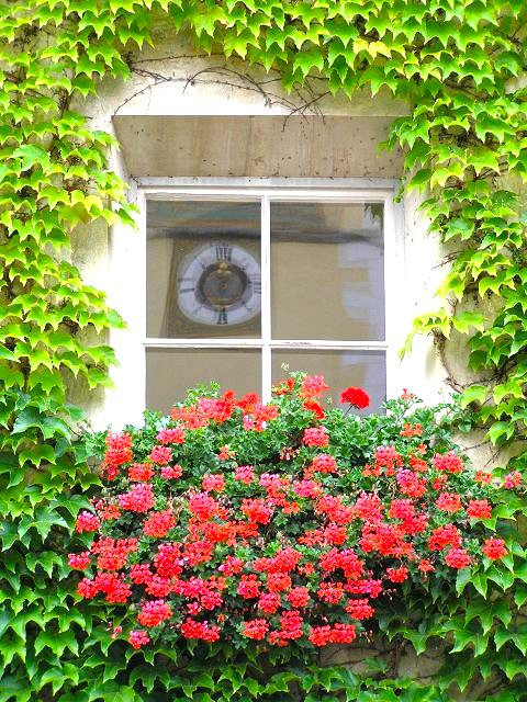 Fensterblick