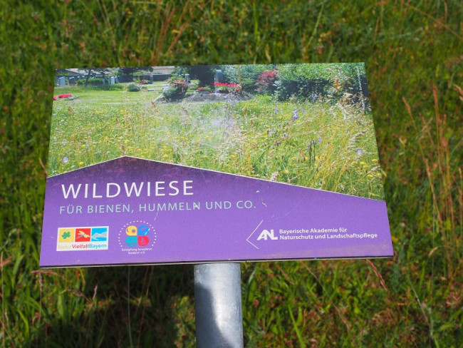 Blühwiese im Friedhof