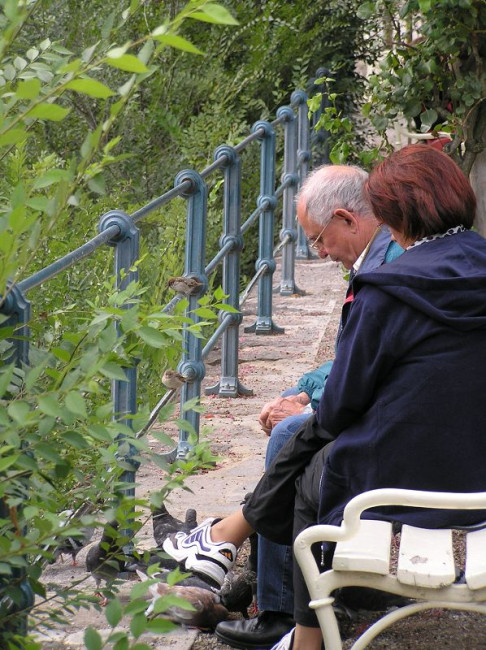 Alte Menschen begleiten