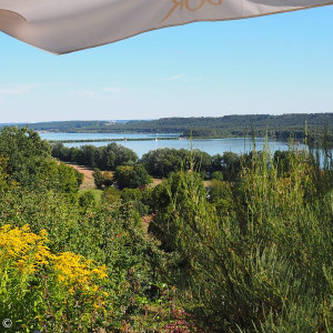 Seeblick genießen
